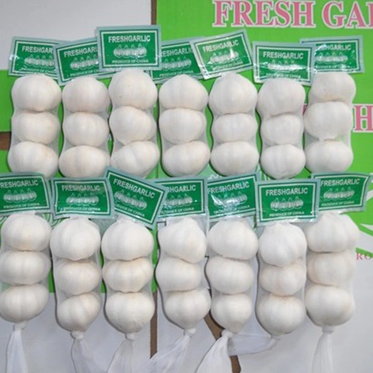 Fa maninona no Tongolo gasy Fresh Premium no safidy tiana ho an'ny mpividy mahay kalitao?