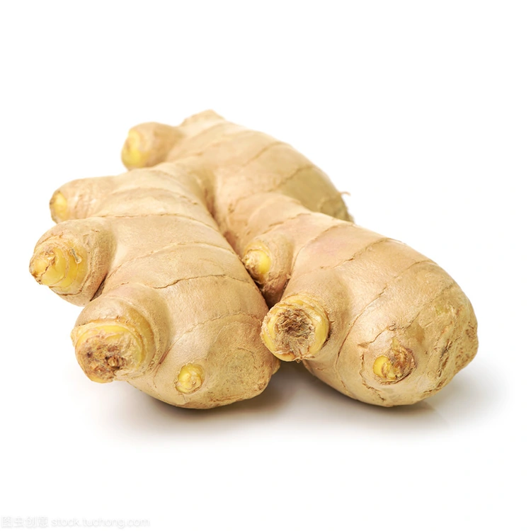 Nahoana no Premium Fresh Ginger no safidy tiana ho an'ny mpividy mahay kalitao?