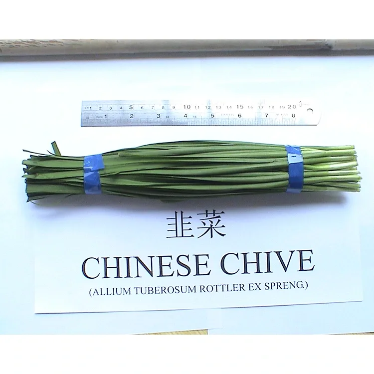 Nahoana no ampiasaina betsaka amin'ny sakafo Aziatika ny Chives Sinoa Fresh?