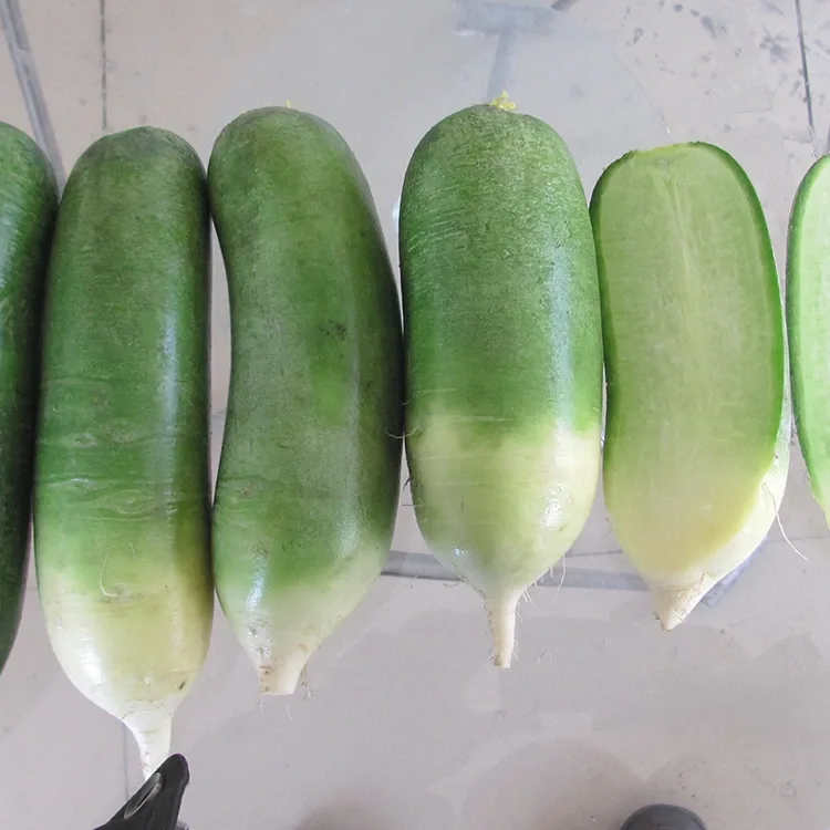 Radish maitso maitso