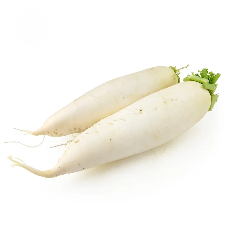 Radish fotsy fotsy