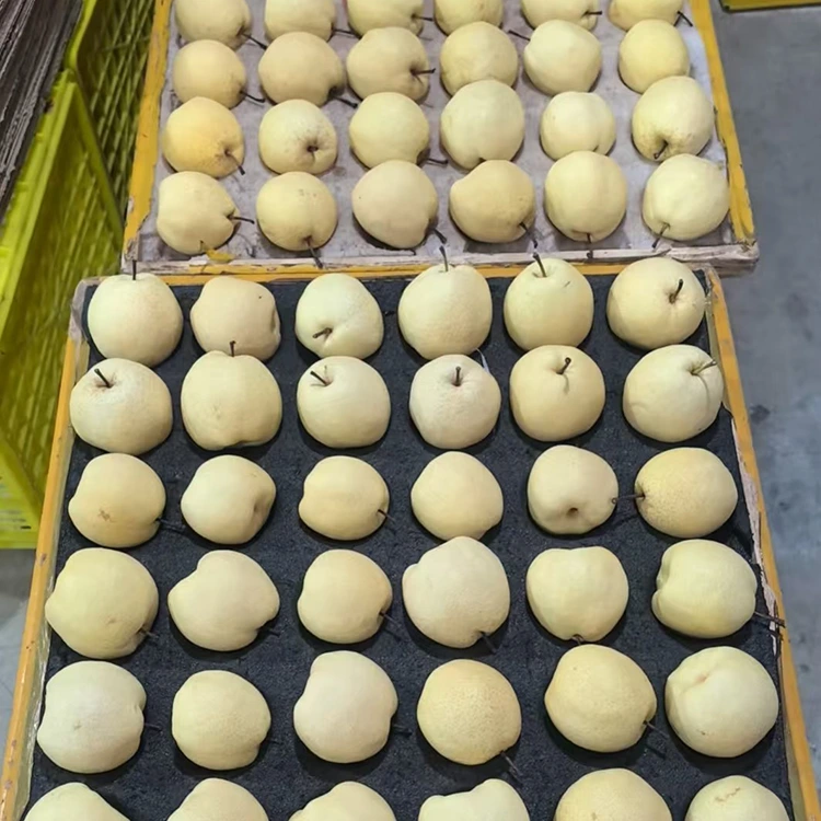 Pears Gong voafantina vaovao