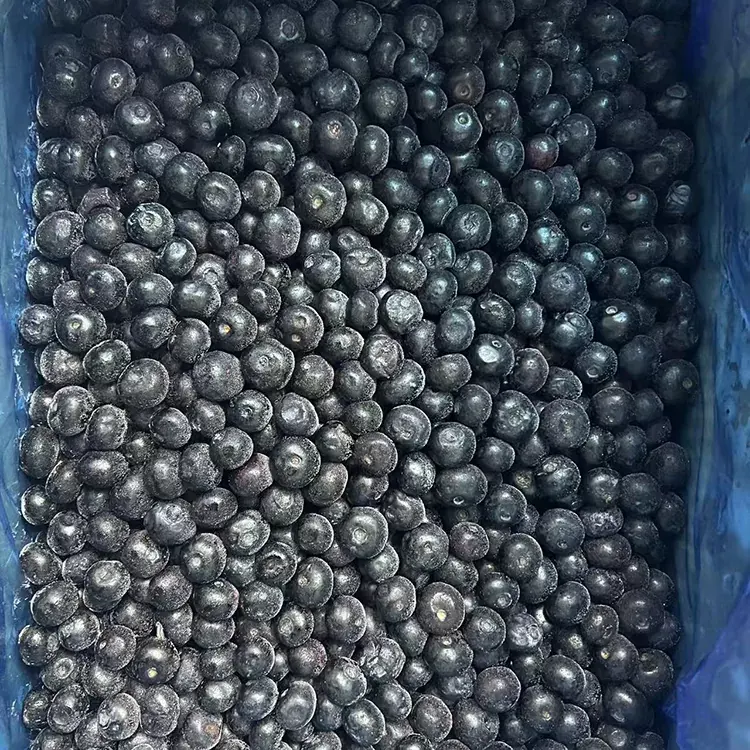 Mangatsiaka Blueberry Premium IQF Blueberries