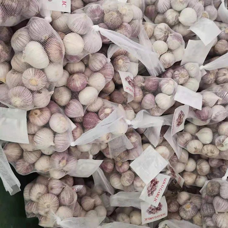 Tongolo gasy tokana avo lenta