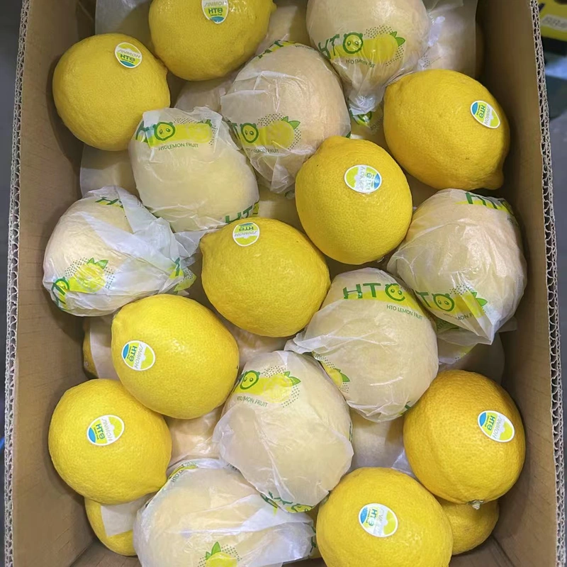Fresh Yellow Lemon Hand Picked Lemon