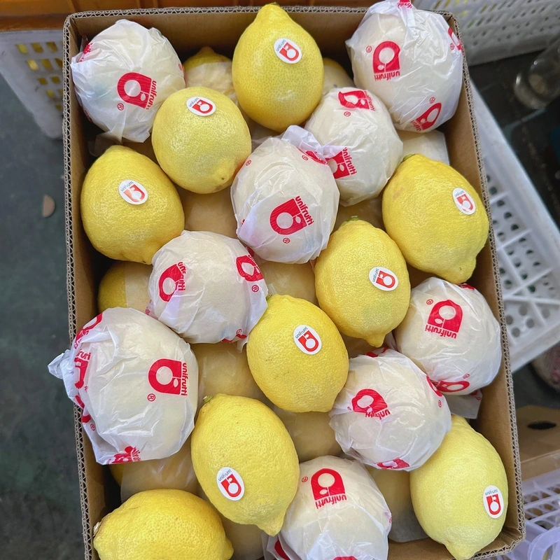 Fresh Yellow Lemon Hand Picked Lemon