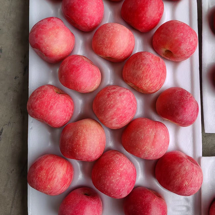 Paoma Fuji Fresh Premium