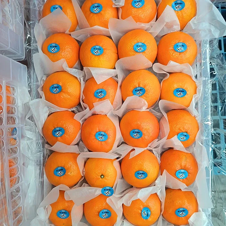 Wogan mandarin mamy tsara indrindra