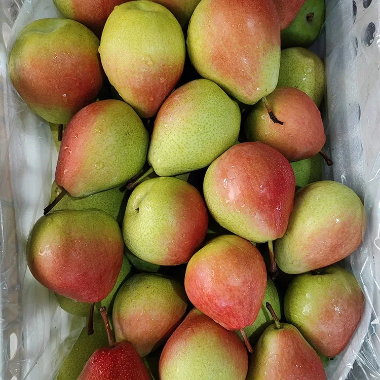 Pear mena manjelanjelatra manjelanjelatra-mena amin'ny volana jolay voasafidy Premium