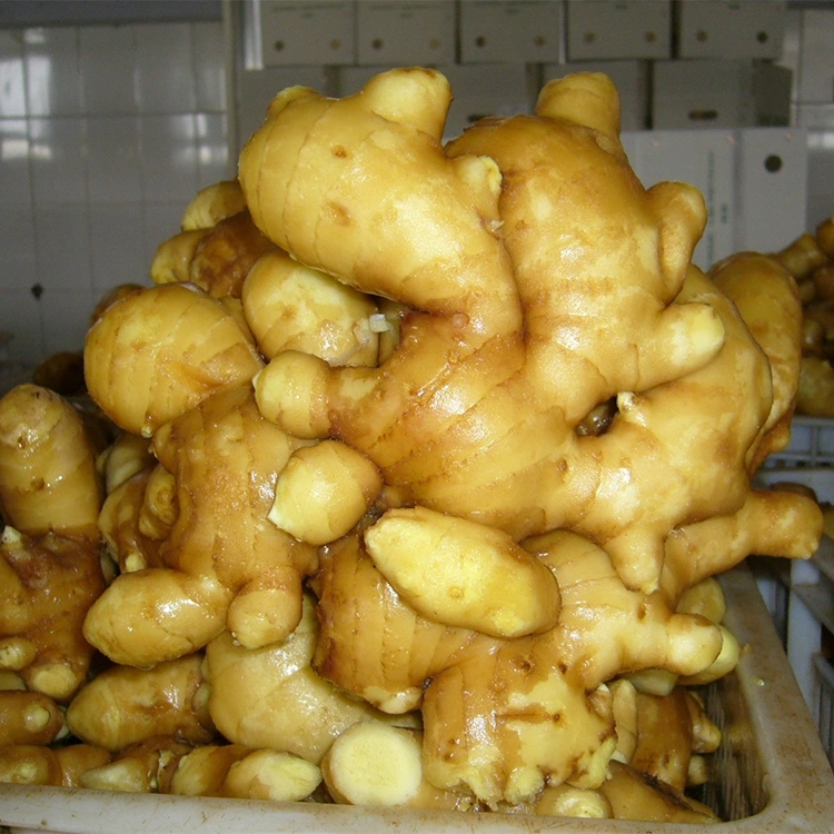 Ginger aromatika vaovao masiaka