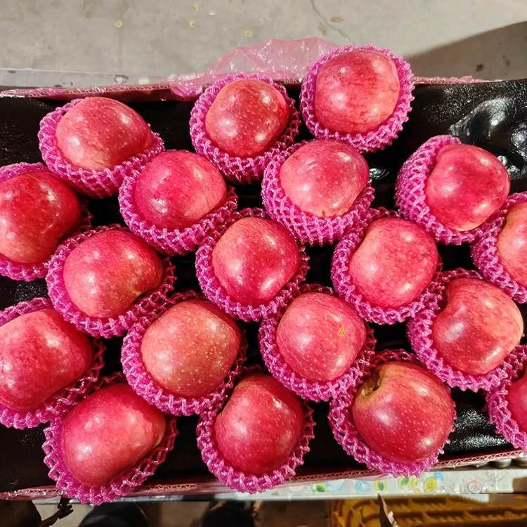 Paoma Jiguan Superior Fresh