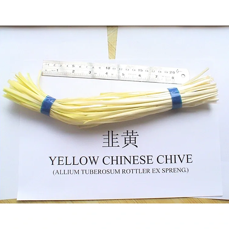 Chives mavo malefaka